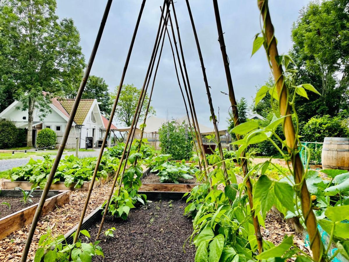 Pod Hotelkamer Dokkum Buitenkant foto